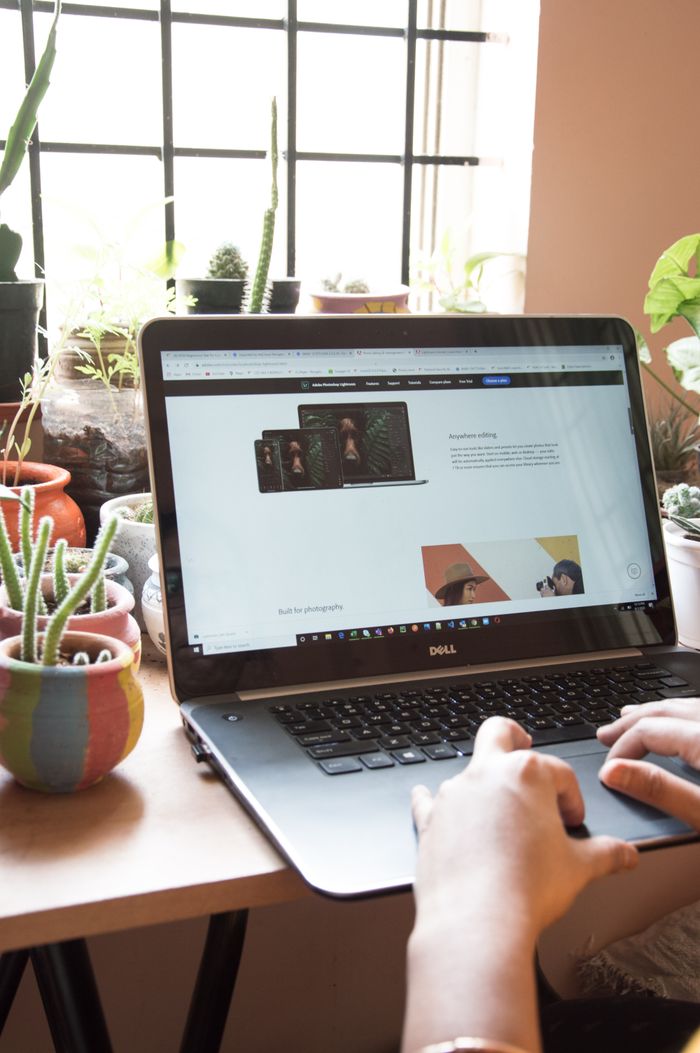 who-we-are A person working on a laptop at home surrounded by potted plants, showcasing a cozy remote work environment.