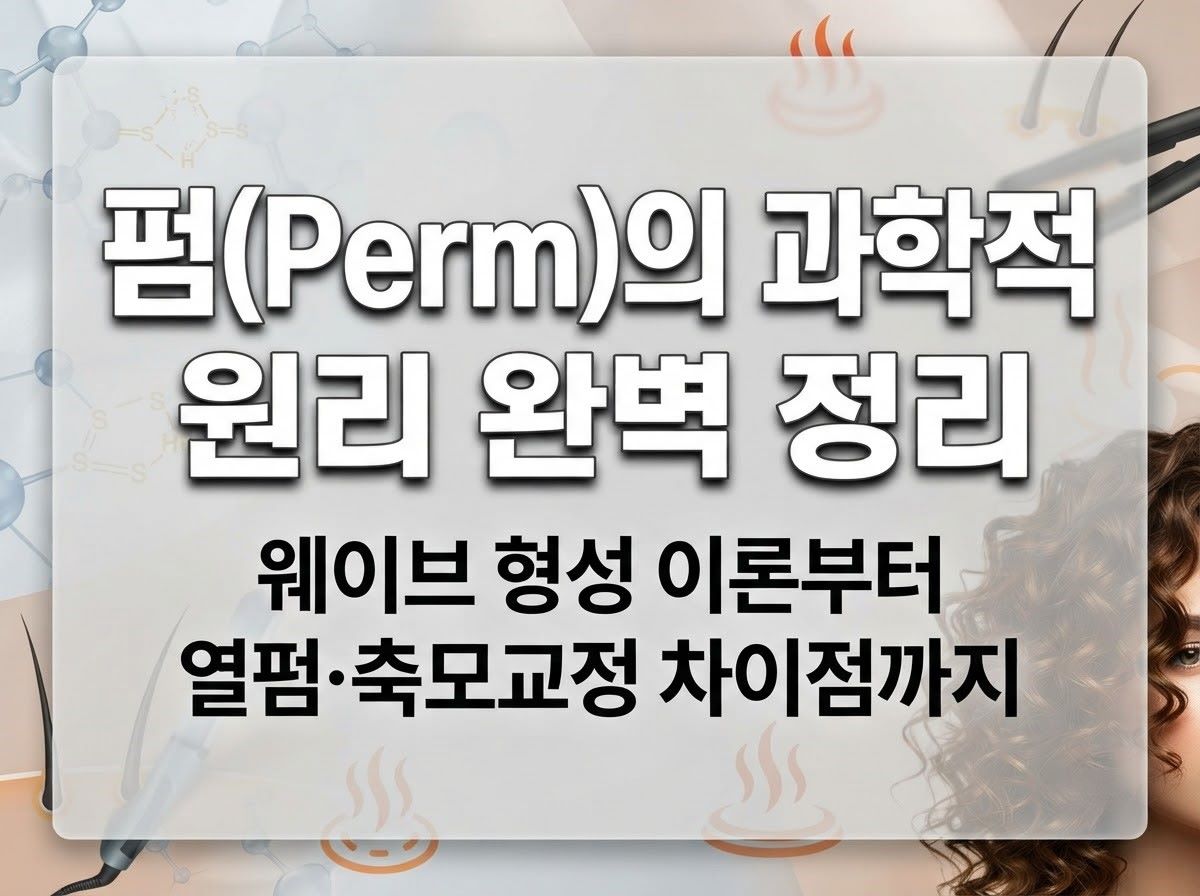 펌의 과학적 원리와 웨이브 형성 이론, 열펌 및 축모교정 핵심 요약 인포그래픽 이미지
